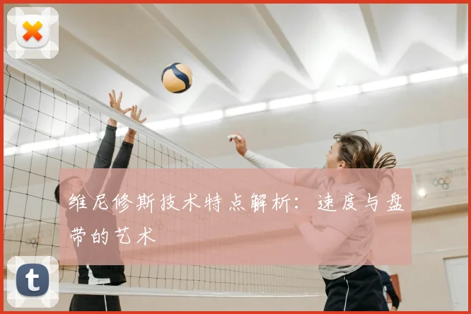 维尼修斯技术特点解析:速度与盘带的艺术