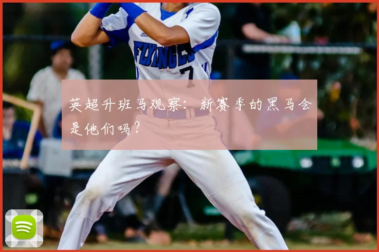 英超升班马观察:新赛季的黑马会是他们吗?